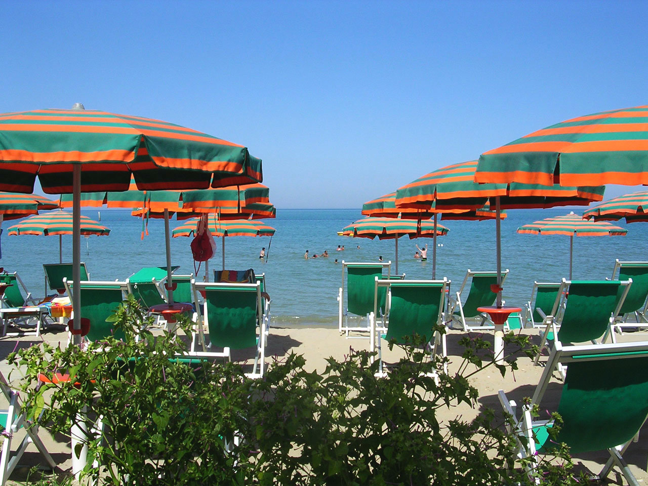 HOTEL NARCISI | Roseto Degli Abruzzi, Abruzzo | DLT Viaggi