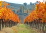 PICCOLI BORGHI NEL CUORE DELL UMBRIA  9