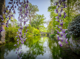 1 NINFA   NORMA E ABBAZIA DI VALVISCIOLO